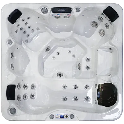 Avalon EC-849L hot tubs for sale in Pittsburgh